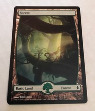 MTG Full Art Forest (246) X1 Zendikar Green Land Magic The Gathering Slight Play