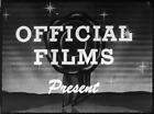A DOGGONE MIXUP (1938) Harry Langdon, Ann Doran, Vernon Dent,  Bud Jamison 16MM