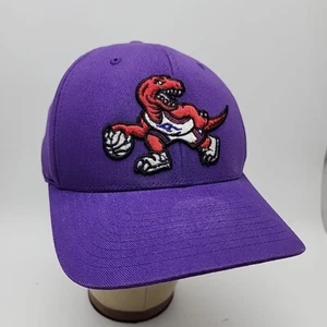 Mitchell & Ness Purple NBA Toronto Raptors HWC Team Ground Snapback Hat - Picture 1 of 10