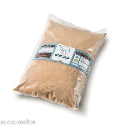 ORIGINAL! BIO Reishi Ganoderma lucidum Mushroom Pilz 1kg - Bild 1 von 2