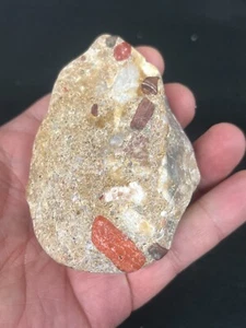 Pudding Stone Rough Michigan Display - Picture 1 of 5