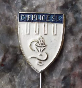 Vintage Cieplice Polnische Stadt Polen Wappen Wappen Pin Anstecker - Bild 1 von 2