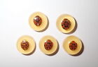 Insect Cabochon Spotted Ladybird Beetle Round 13 mm on Amber White 5 pieces Lot