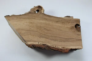 16" Elm Slab - Live Edge - Round/Half Log  - Picture 1 of 7