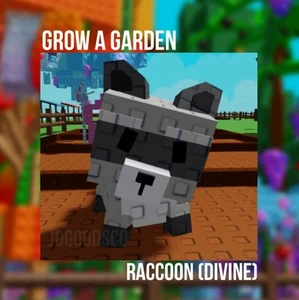 Roblox Grow A Garden Divine Raccoon CHEAP & FAST - Picture 1 of 1