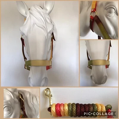 REDUCED Headcollar and Lead Rope, COB, FOREST COLOURS, FREE UK Postage - Image 1 of 4