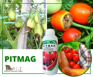Pitmag Concime per prevenire Marciume Apicale pomodoro carenza d calcio bioA.L.T - Foto 1 di 8