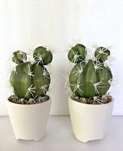 Set of 2 Faux Cactus Artificial Plants in Ceramic Pots - Picture 1 of 8