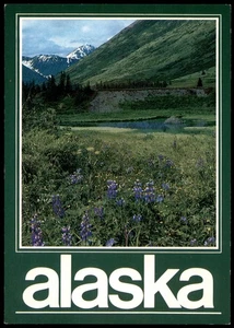 Vintage Alaska Postcard Beaver Dam Lupine Buttercup Scenic View - Picture 1 of 2