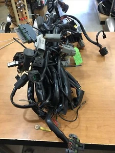 Harley Davidson OEM ignition and main wire harness #70245-02/#70233-02 - Bild 1 von 1