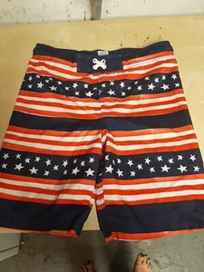 Boys Patriotic American Flag Swim Trunks Size L - Picture 1 of 2