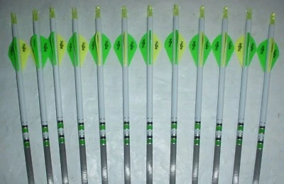 12 Gold Tip XT Hunter 300 Carbon Arrows! Custom White Dip Crest/Blazer Vanes - Image 1 of 3