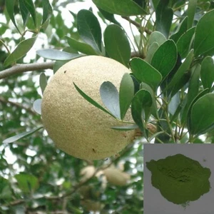 DRIED Organic Wood Apple (Limonia Acidissima) Leaf powder 100g Ceylon Natural - Picture 1 of 10