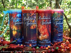 AUTUMN'S SPLENDOUR Vigil Jar Illuminary. Celebrate Autumn's Magick - Picture 1 of 10