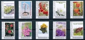 PERSOONLIJKE POSTZEGELS - 10 x BLOEMEN EN PLANTEN - PZV MONSTER/WESTLAND   PP505 - Imagen 1 de 1