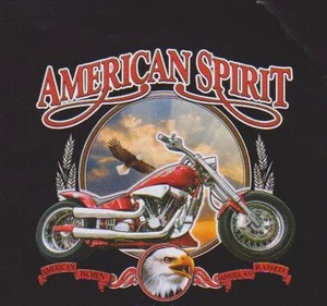 SUPERBE TEE SHIRT HAUTE QUALITE BIKER . USA S M L XL XXL XXXL + ENFANTS - Picture 1 of 1