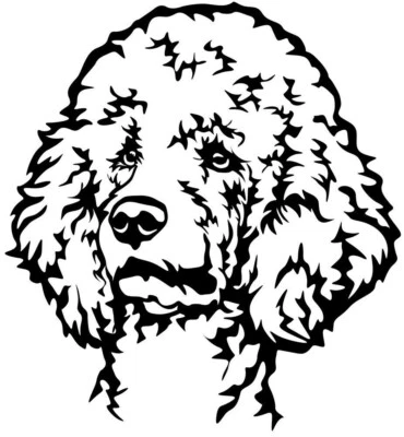 PUDEL Großpudel Aufkleber -  Autoaufkleber - sticker - Pudel Kopf #67 - Bild 1 von 3