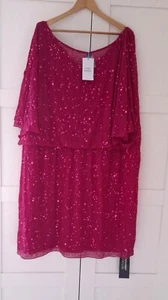  Damenkleid Rasberry rosa Hand Perlen Pailletten Anlass Größe 30 neu mit Etikett UVP £130 - Bild 1 von 5