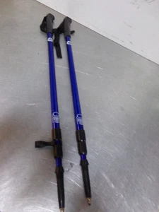 bastones telescopio marcha nórdica - Imagen 1 de 5