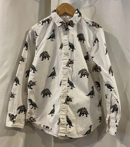 H&M Dinosaur Long sleeve Polo Dress Shirt Boys Size 6 - Picture 1 of 5