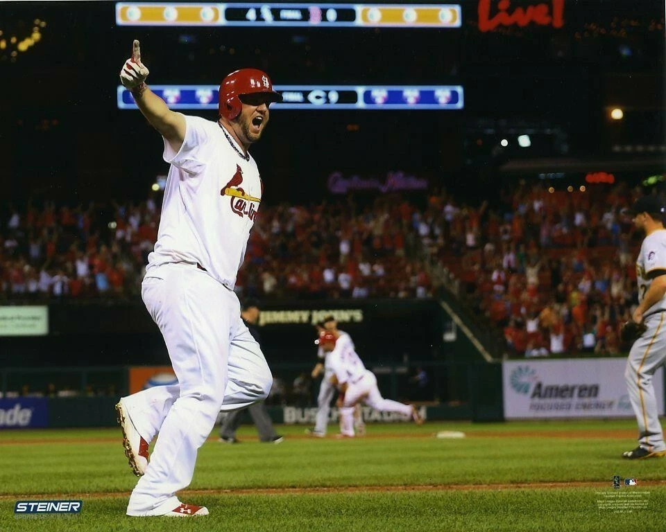 Foto de béisbol de Matt Adams de los Cardenales de San Luis 8x10 #1 Foto 1 de 1
