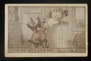 1910 GATOS CON SOMBREROS Come and Get a Love Pat - You'll Like It F. Bluh Cesta PC - Imagen 1 de 1