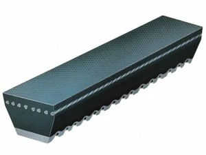 Accessory Drive Belt 8PPH83 for B100 Van B200 B300 Challenger Charger Coronet - Picture 1 of 1