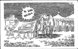 Cartolina vintage commedia circo baule elefante appena sposato Ye Gods Wilber - Foto 1 di 2