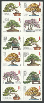 Scott 4622b, the 2012 $11 Bonsai Double Sided Booklet Pane of 20 Forever Stamps - Image 1 of 2