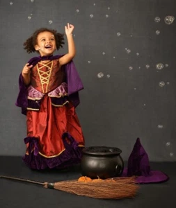 Pottery Barn Kids Vintage Witch Costume 3T Halloween DISCONTINUED - Picture 1 of 4