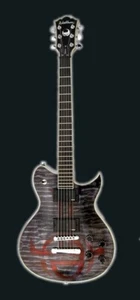 Guitarra electrica Washburn WI66NC edicion especial - Imagen 1 de 10