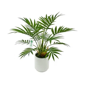 12" Potted Artificial Palm Tree Plant for Home Office Decor White Planter - Picture 1 of 9