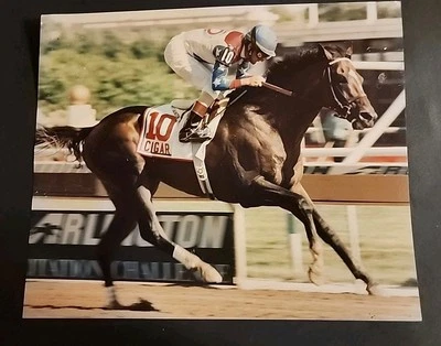 FOTO DE COLECCIÓN 8x10 cigar hoy pura sangre jerry bailey de subasta parque hollywood Foto 1 de 4