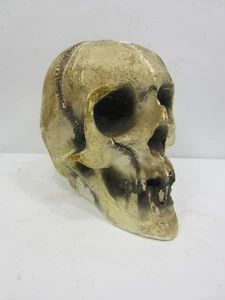 1990's? Unmarked Disneyland Glowing Chalkware Skull 5 1/2" - Picture 1 of 14