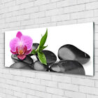 Acrylic print Wall art 125x50 Image Picture Flower Stones Art