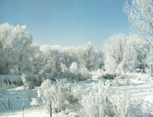54988 - ATTENDANCE CHART WINTER SCENE - Picture 1 of 2