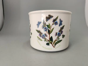PORTMERION SMALL PLANTER VERONICA CHAMADRYS (Speedwell) - Picture 1 of 6