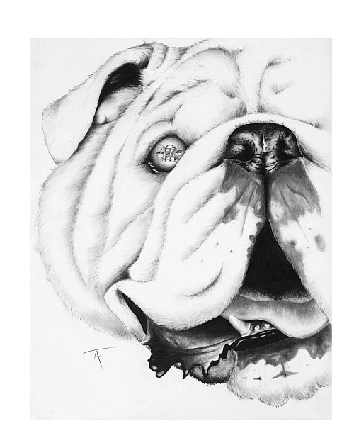 GEORGIA BULLDOGS FOOTBALL BLACK AND WHITE UGA PRINT W ARCH PAINTED IN EYE SMALL - Image 1 of 1