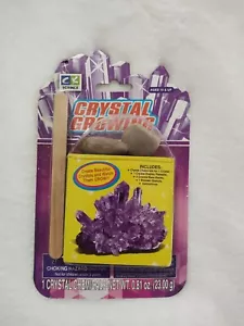 PURPLE CREATIVE KIDS SCIENCE CRYSTAL GROWING KIT AGES 10+ - Picture 1 of 3