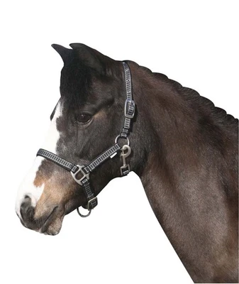 Horse Guard RIO Halfter - grau/schwarz - Pony-Fohlen Pferdehalfter Fohlenhalfter - Bild 1 von 2