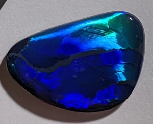 Rayo! Lightning Ridge 16,8 quilates negro sólido ópalo azul verde forma libre AU - Imagen 1 de 14