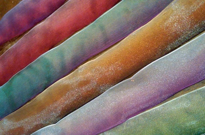 Cinta de alambre de organza vintage transparente 1,5" ombre 1 yarda hecha en Francia Foto 1 de 3