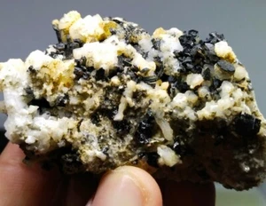 Allanite (Ce) with Garnet, Sphene and Albite  from Zagi mountains kpk Pak - Picture 1 of 6