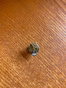 Vintage FOE 5 YEAR MEMBER 1/10 10K GF CTO ENAMEL Screw Back LAPEL PIN 1/2” VG ! - Picture 1 of 3