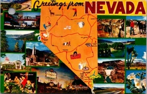 Cartolina Mappa Illustrata Saluti da NEVADA Multivista - Foto 1 di 2