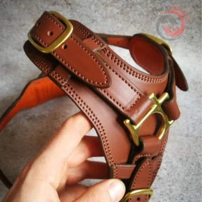 Arnês para Cães Sem Puxar com Alça e Coleira | Nome feito à mão do costume do ponto - Imagem 1 de 4