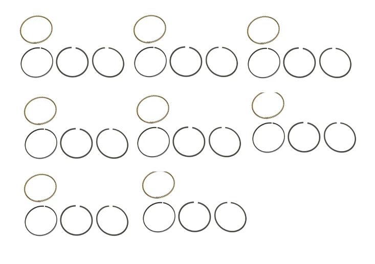 Juego de 8 anillos de pistón para LAND Rover Defender 90 Discovery Range Rover Foto 1 de 1