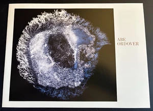 Abe Ordover Imagining Nature Kunstausstellungskatalog - Bild 1 von 6