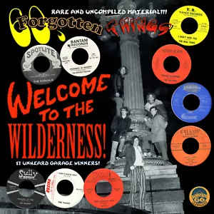 VERSCHIEDENE - 60er Forgotten Things: Welcome To The Wilderness - Vinyl (LP) Garage - Bild 1 von 3