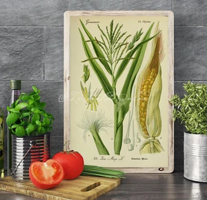 POSTER PRINT Corn Zea Mays Thanksgiving Christmas Table Decor Kitchen Decor - Picture 1 of 4